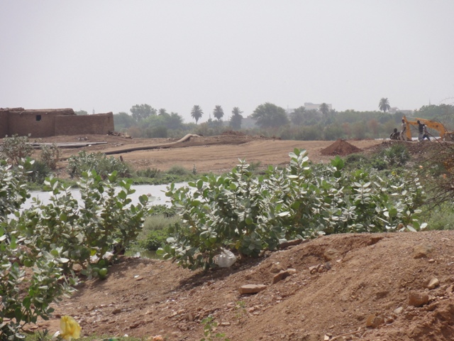 33.JPG Hosting at Sudaneseonline.com