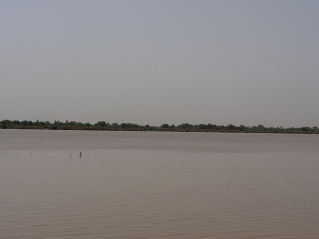 35.JPG Hosting at Sudaneseonline.com