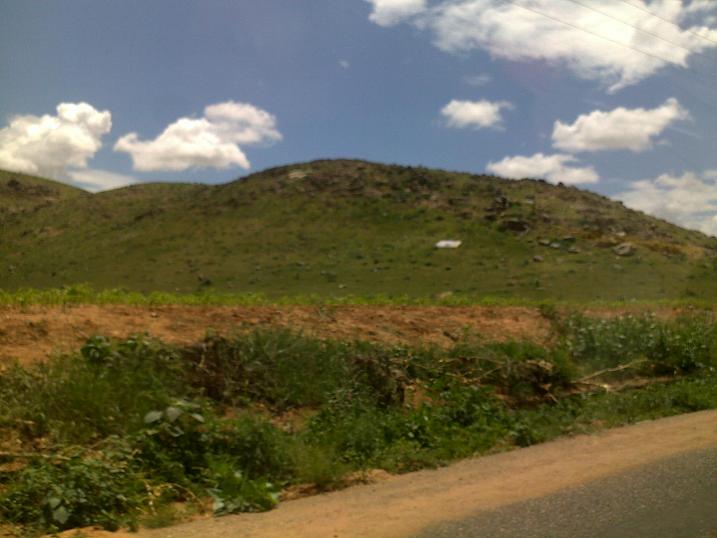 763.JPG Hosting at Sudaneseonline.com