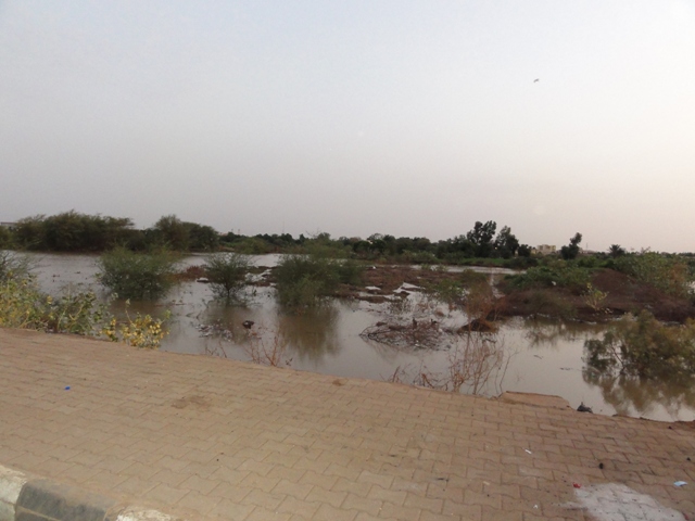 8.JPG Hosting at Sudaneseonline.com