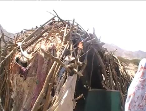 821.JPG Hosting at Sudaneseonline.com