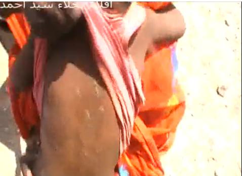 823.JPG Hosting at Sudaneseonline.com