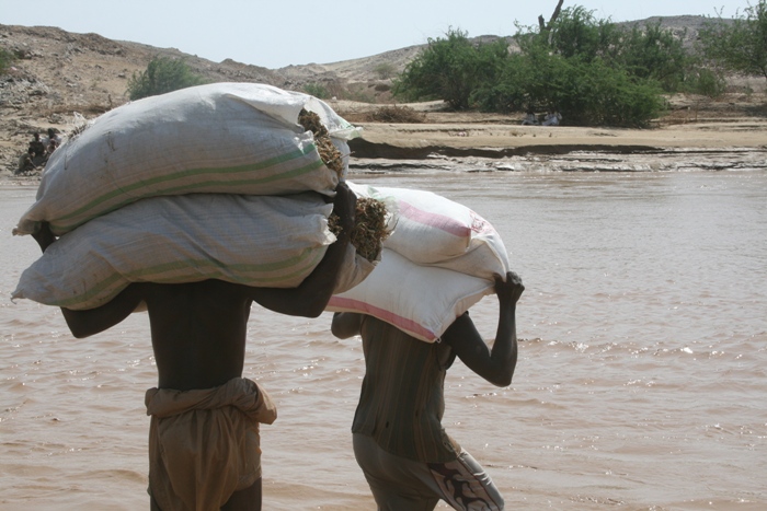 832.JPG Hosting at Sudaneseonline.com