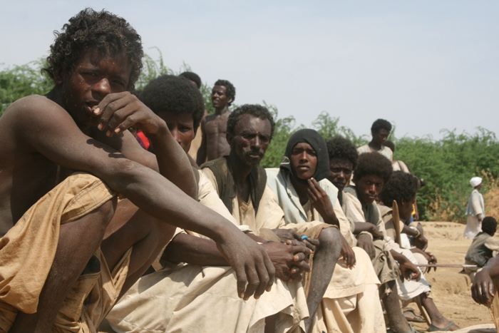 833.JPG Hosting at Sudaneseonline.com