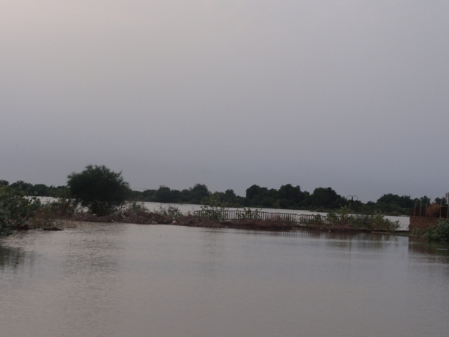 DSC00071.JPG Hosting at Sudaneseonline.com