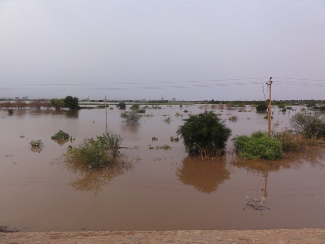 DSC00075.JPG Hosting at Sudaneseonline.com