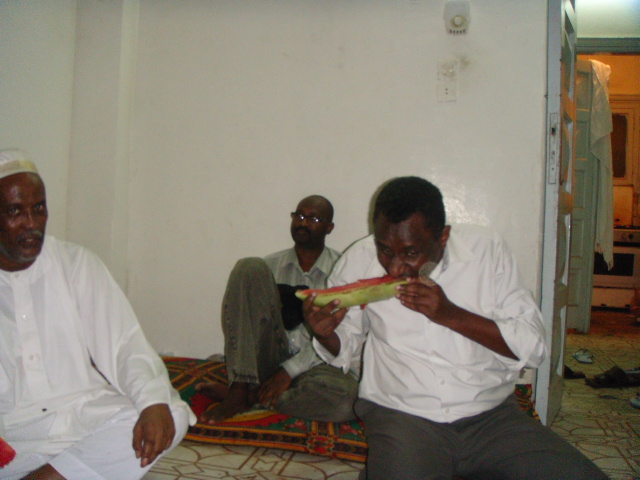 DSC00344.JPG Hosting at Sudaneseonline.com