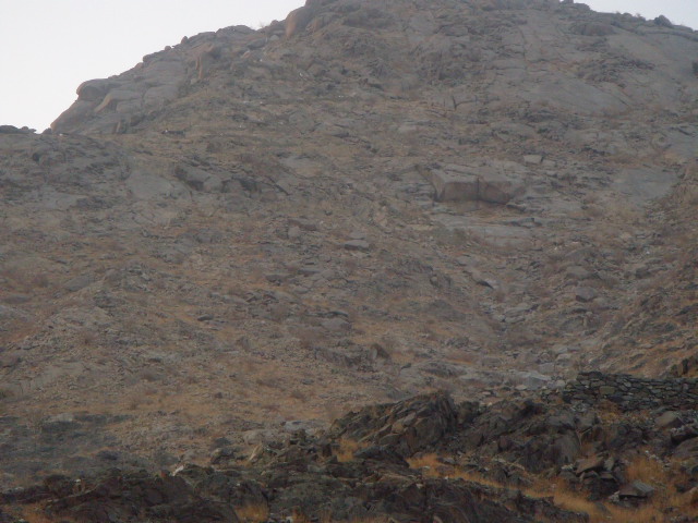 DSC00446.JPG Hosting at Sudaneseonline.com