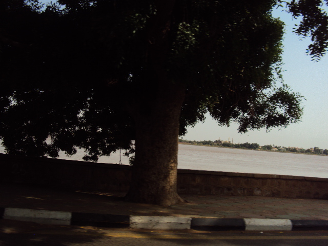 DSC00690.JPG Hosting at Sudaneseonline.com