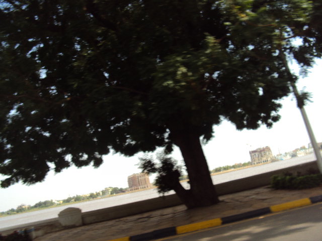 DSC00692.JPG Hosting at Sudaneseonline.com