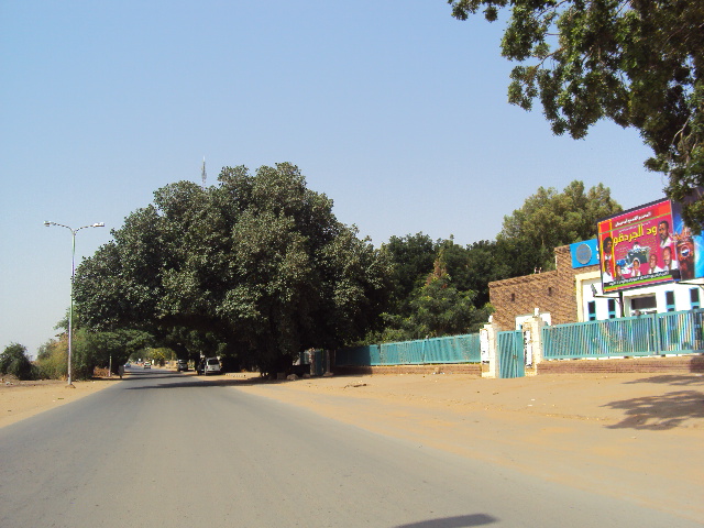 DSC00728.JPG Hosting at Sudaneseonline.com