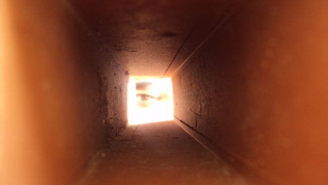 DSC03179.JPG Hosting at Sudaneseonline.com