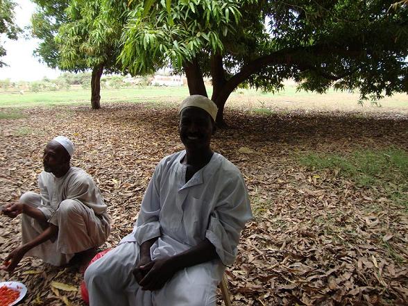 H7.JPG Hosting at Sudaneseonline.com