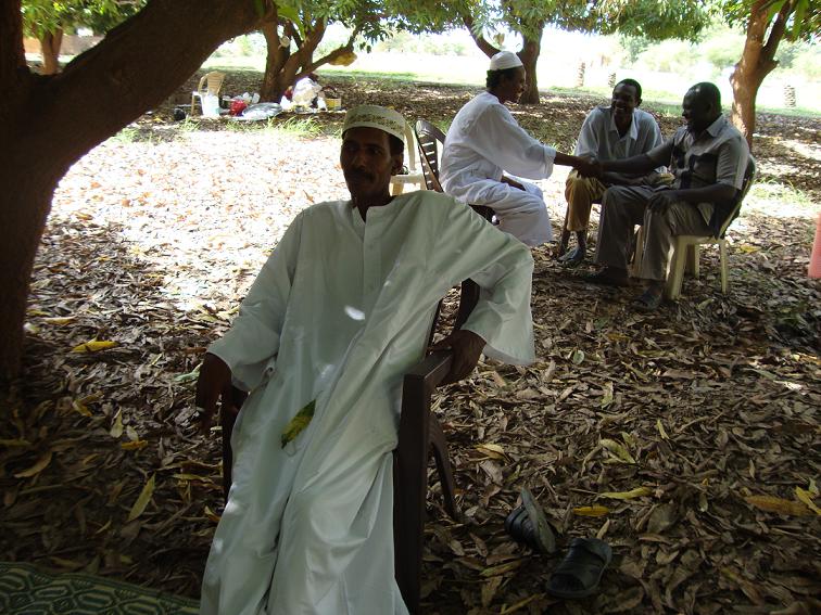 H8.JPG Hosting at Sudaneseonline.com