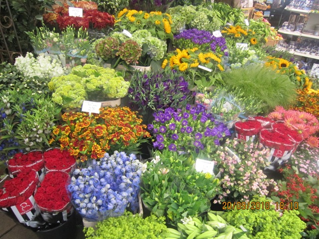 IMG_0329.jpg Hosting at Sudaneseonline.com