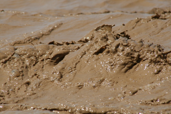 IMG_9499.JPG Hosting at Sudaneseonline.com