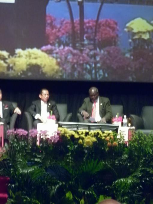 P1000994.JPG Hosting at Sudaneseonline.com