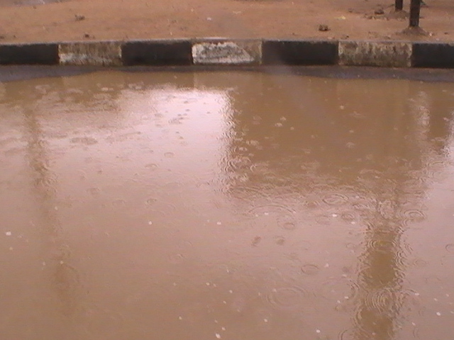 PIC_9574.JPG Hosting at Sudaneseonline.com