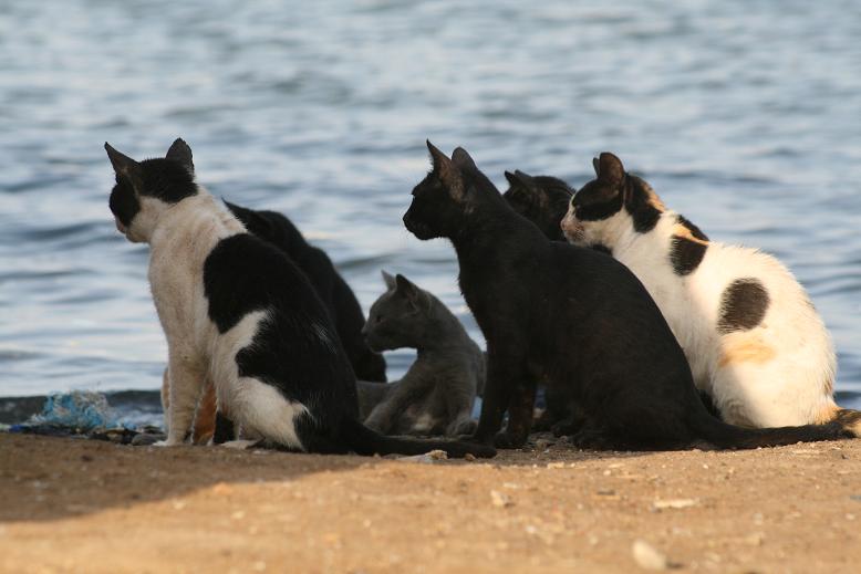 Picture195.JPG Hosting at Sudaneseonline.com