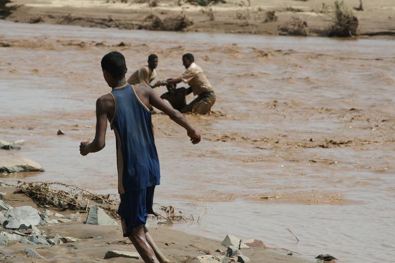 Picture39g7.JPG Hosting at Sudaneseonline.com