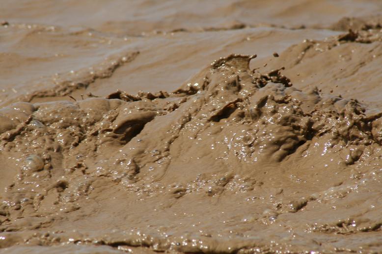 Picture460.JPG Hosting at Sudaneseonline.com