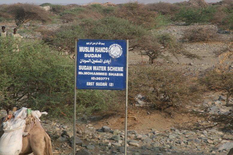 Picture6.JPG Hosting at Sudaneseonline.com