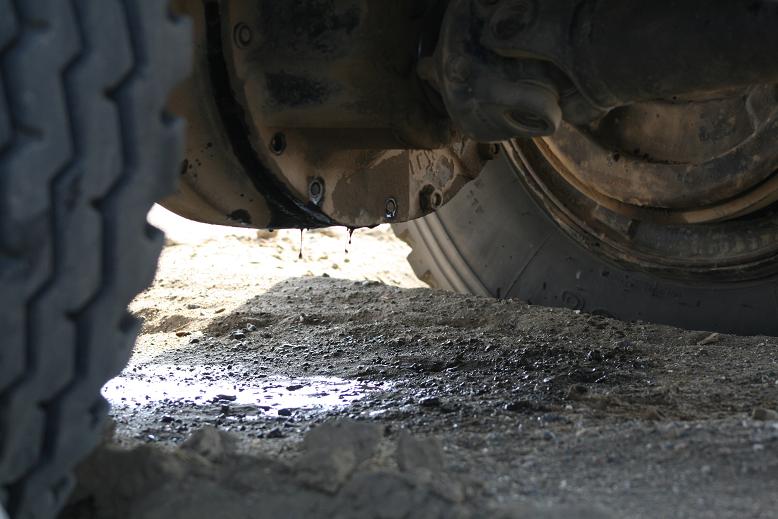 Picture786.JPG Hosting at Sudaneseonline.com