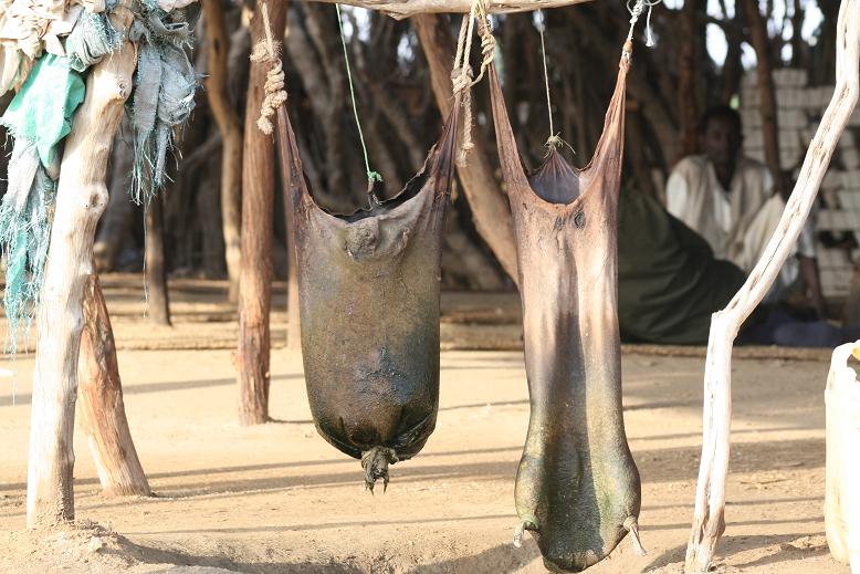 Pictures397.JPG Hosting at Sudaneseonline.com