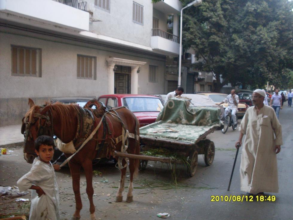 SDC10028.JPG Hosting at Sudaneseonline.com