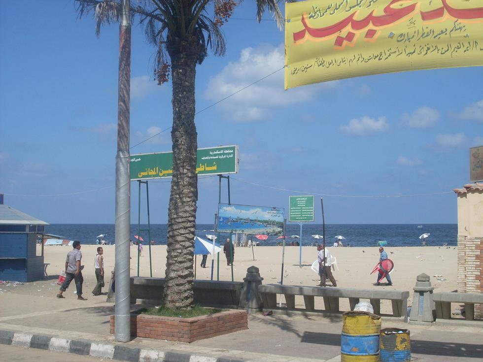 SDC10336.JPG Hosting at Sudaneseonline.com