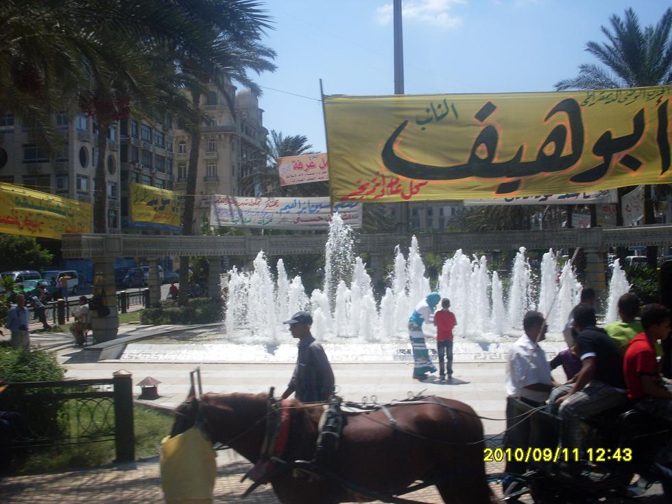 SDC10338.JPG Hosting at Sudaneseonline.com