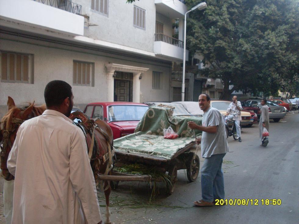 SDC9.JPG Hosting at Sudaneseonline.com