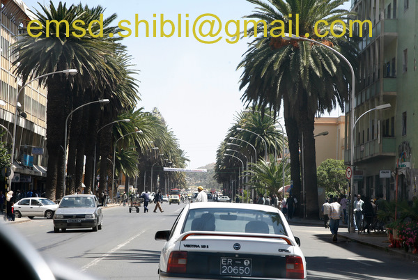 _MAD4115.JPG Hosting at Sudaneseonline.com