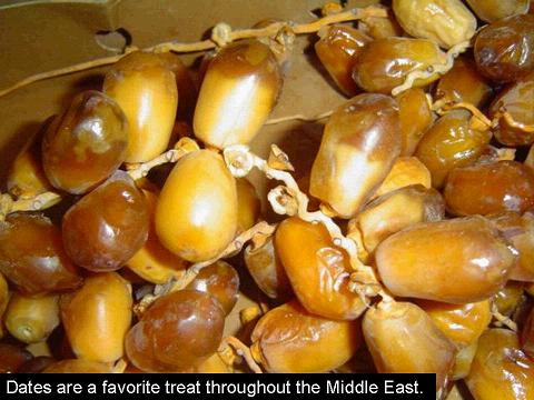 bala72.JPG Hosting at Sudaneseonline.com