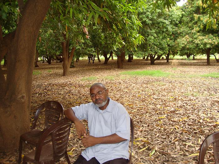 h1.JPG Hosting at Sudaneseonline.com