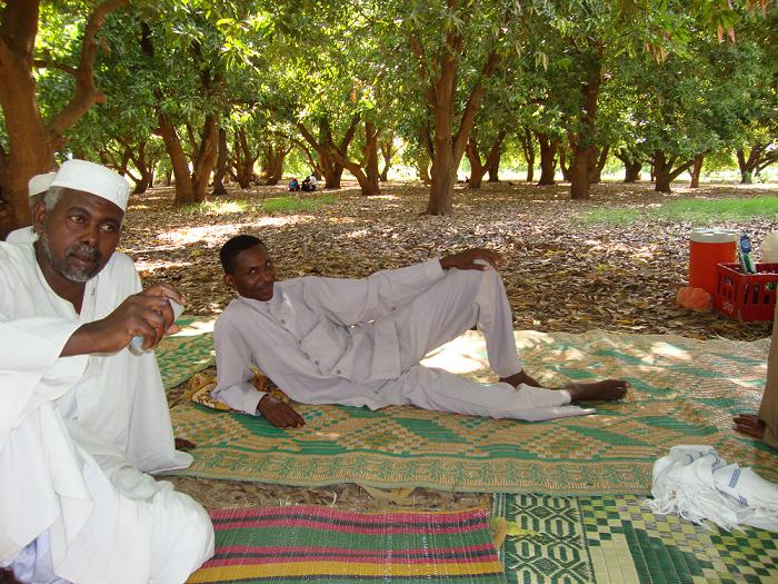 h10.JPG Hosting at Sudaneseonline.com