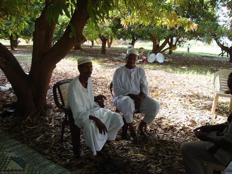 h16.JPG Hosting at Sudaneseonline.com