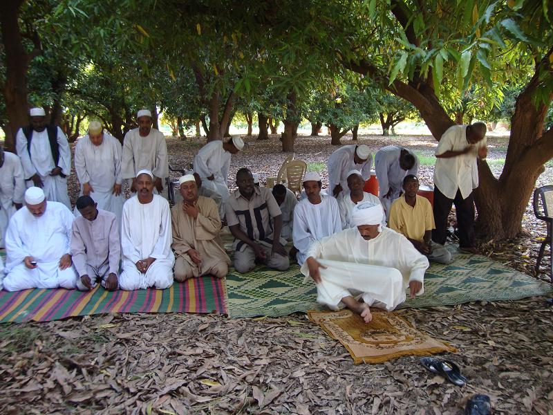 h17.JPG Hosting at Sudaneseonline.com