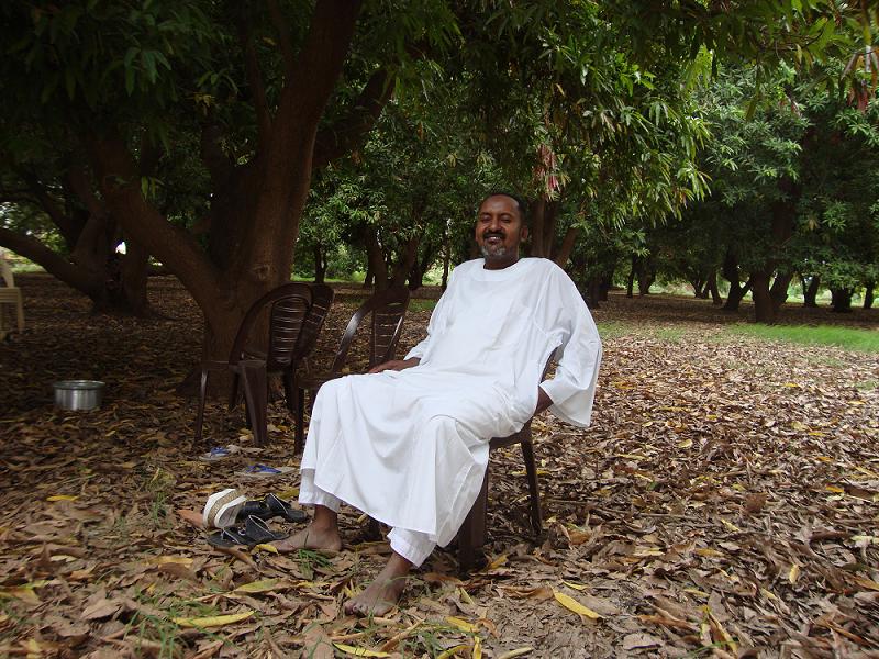 h4.JPG Hosting at Sudaneseonline.com