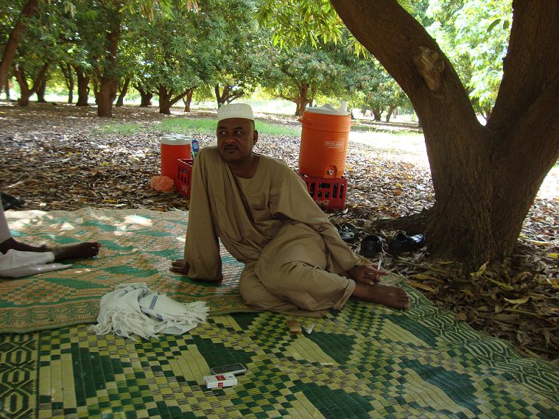 h9.JPG Hosting at Sudaneseonline.com