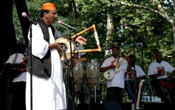 hadi6.JPG Hosting at Sudaneseonline.com