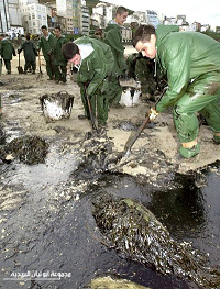 pb8.bmp Hosting at Sudaneseonline.com