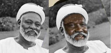 salvaabdelx2.JPG Hosting at Sudaneseonline.com