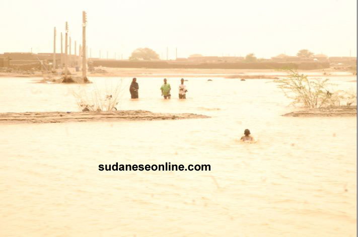 shandi4.JPG Hosting at Sudaneseonline.com