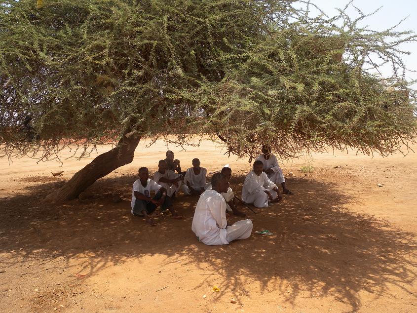 sudansudansudansudan19.JPG Hosting at Sudaneseonline.com