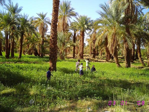 sudansudansudansudan309.jpg Hosting at Sudaneseonline.com