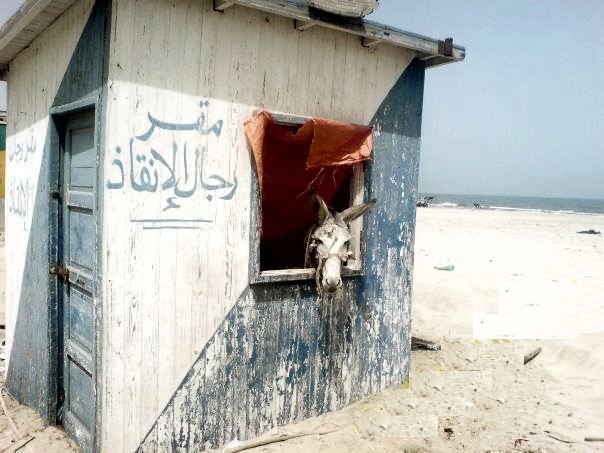 sudansudansudansudansudan25.JPG Hosting at Sudaneseonline.com