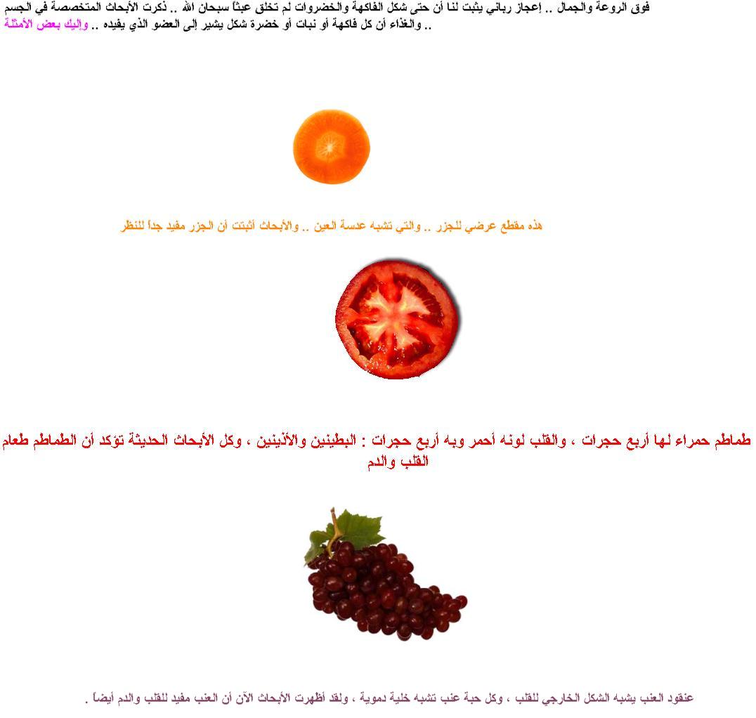 117.JPG Hosting at Sudaneseonline.com
