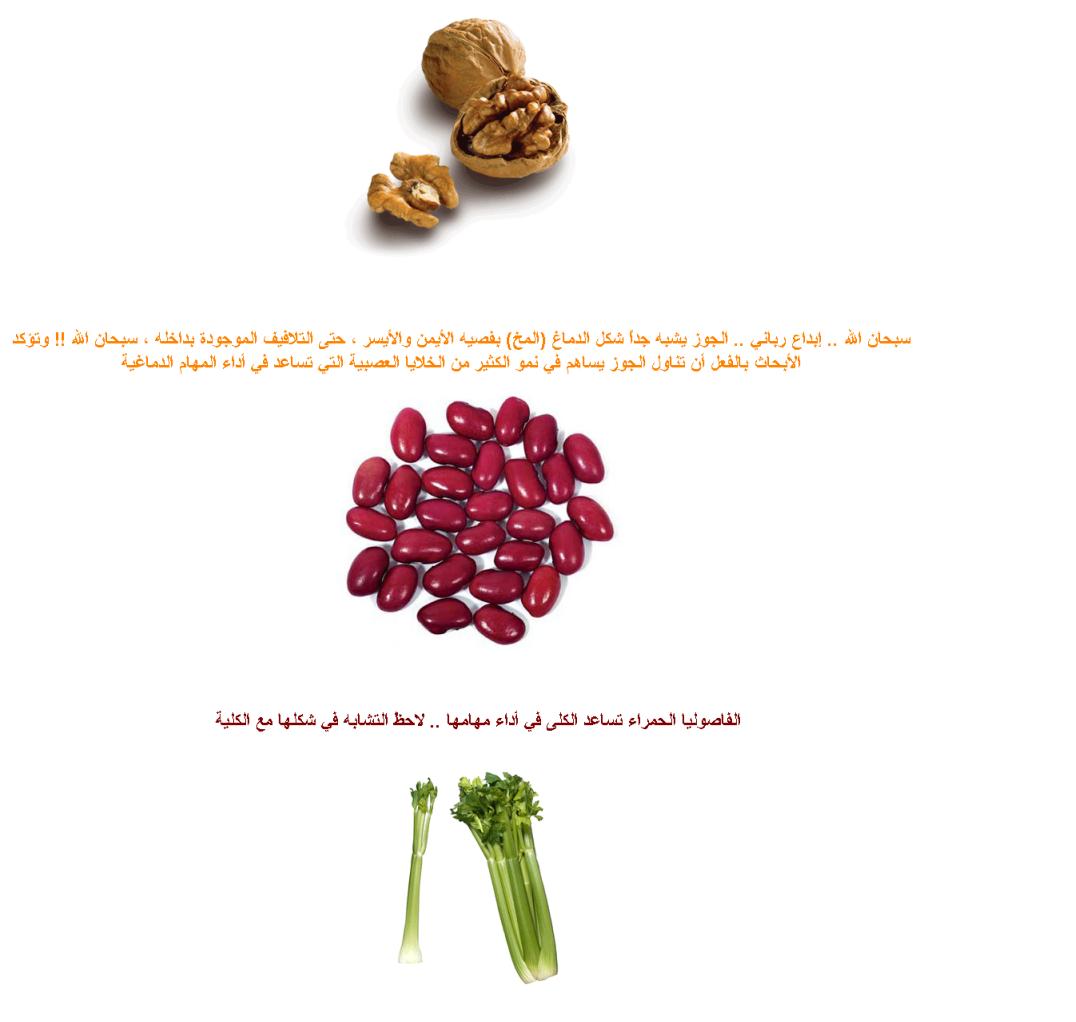 118.JPG Hosting at Sudaneseonline.com