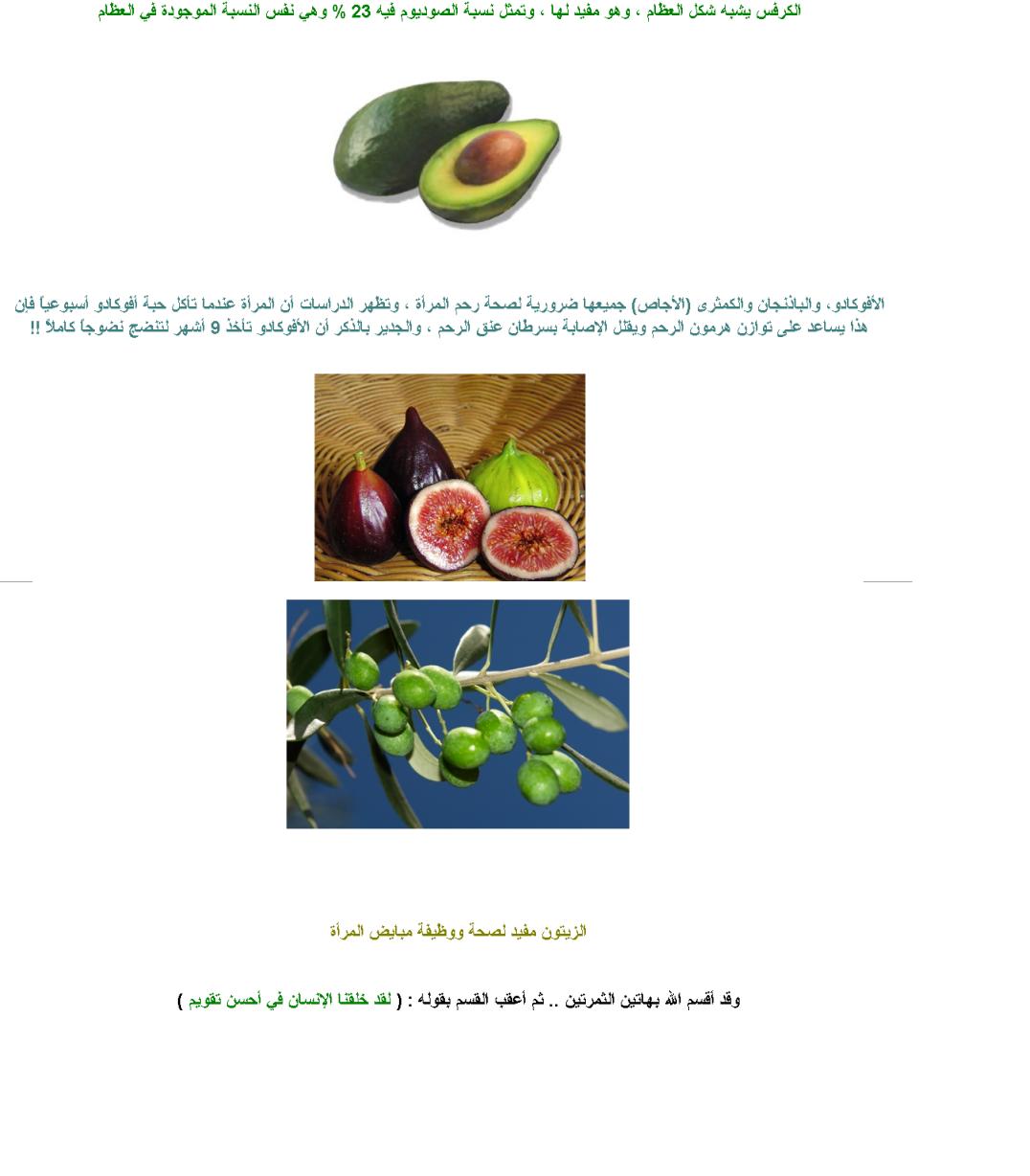 119.JPG Hosting at Sudaneseonline.com